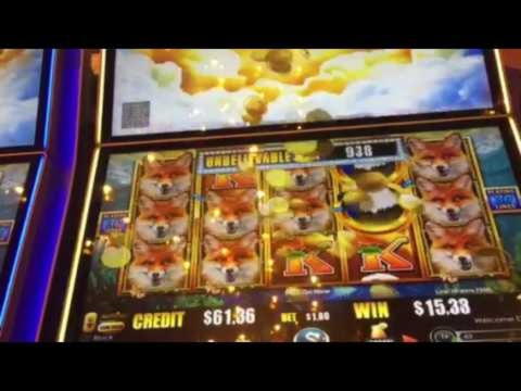 650% kazino rungtynių premija Casino-X